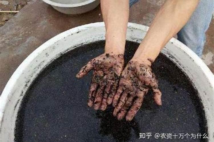 草木灰可以浇兰花吗