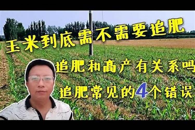 玉米播种时一亩地用一袋化肥,如果不追肥能减产多少呢？