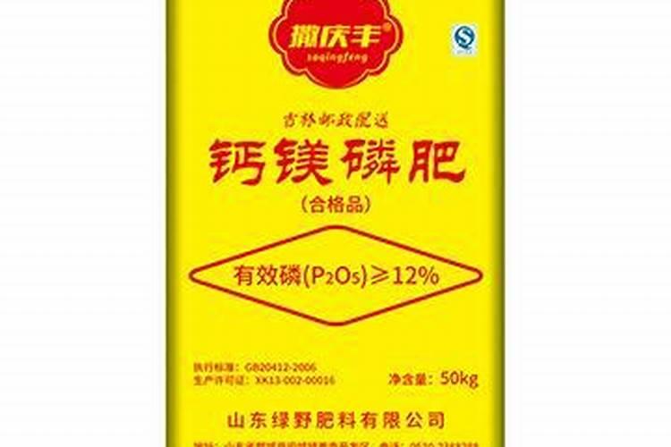 天人菊种子怎么种