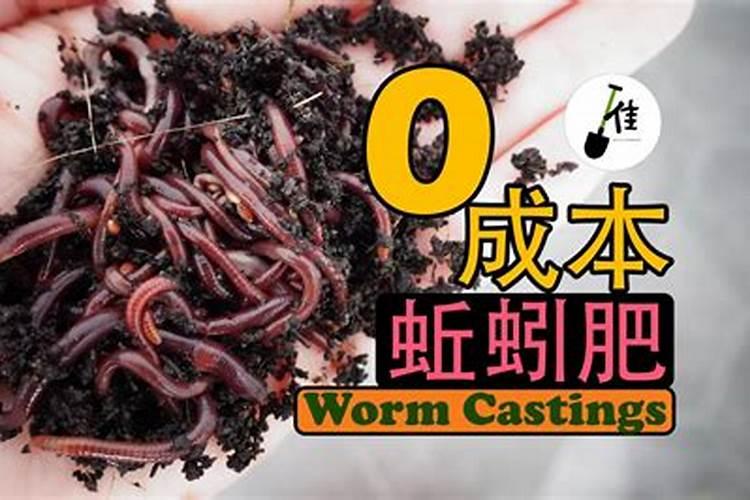 蚯蚓粪养花使用方法 如何用蚯蚓粪养花