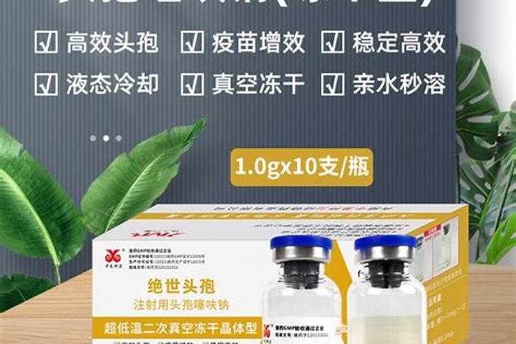 贻好速溶抗菌剂能治掌趾脓疱病吗