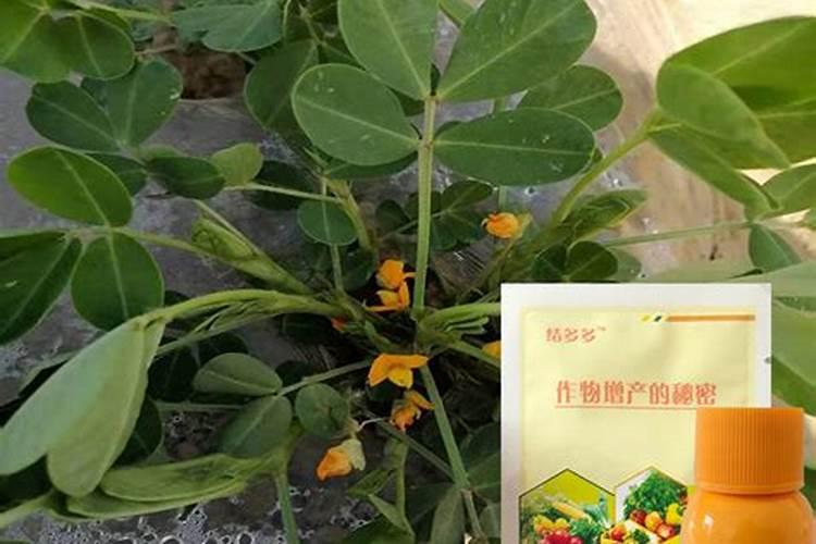 叶面肥打多了有害吗