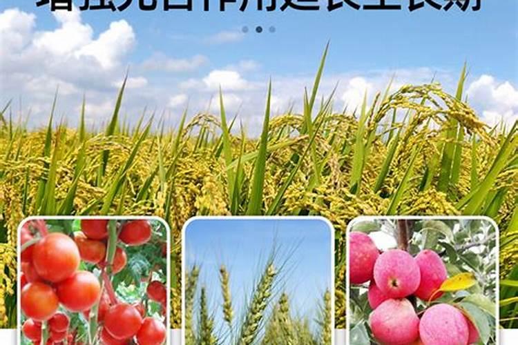 叶面肥有哪些牌子 排行榜都有哪些上榜