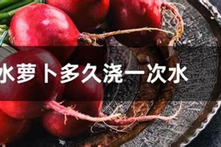 萝卜怎样施肥才能又嫩又脆
