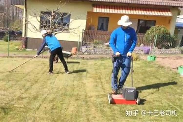 剪下来的草坪可以做肥料吗