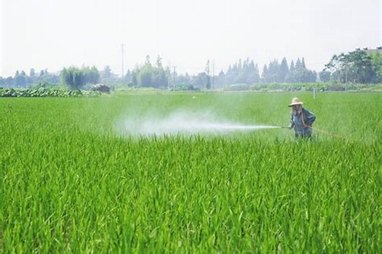 怎样解除果树农药药害