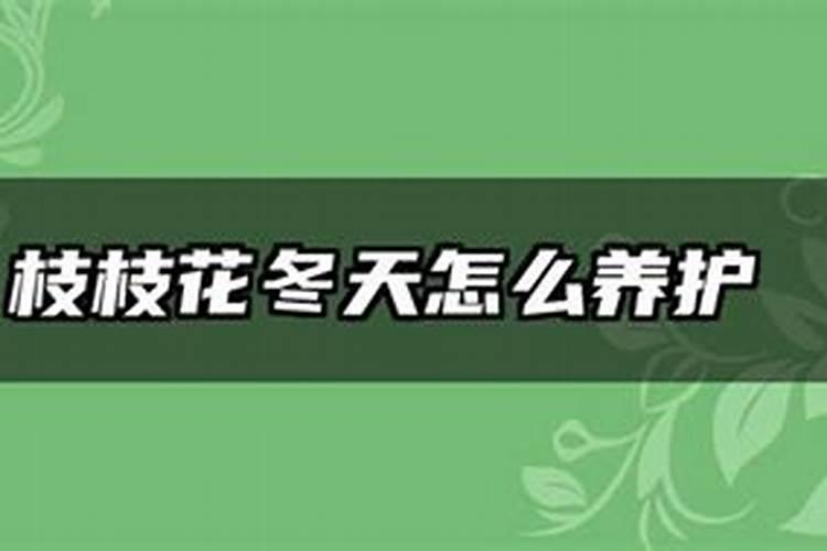 栀子花冬天需要施肥吗