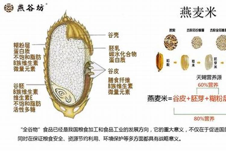 施肥的好处坏处