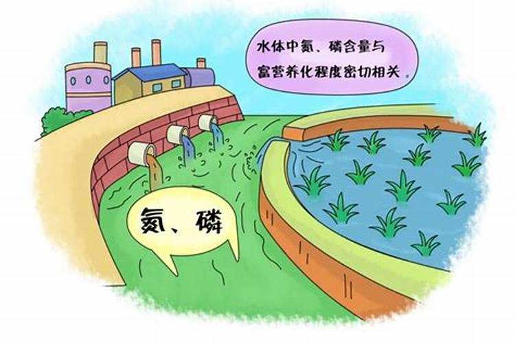 新疆向日葵缺素情况