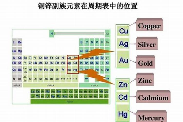 崹人参是什么参