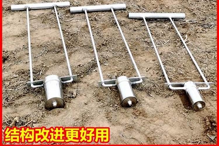 营养钵育苗的特点及技术要领