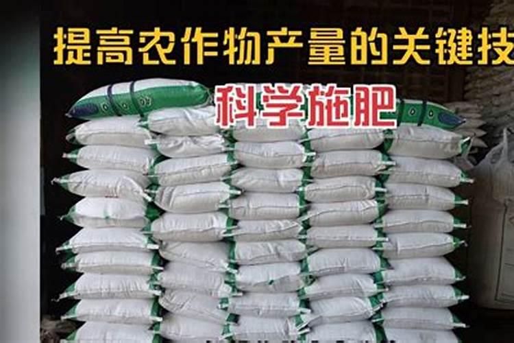过磷酸钙的使用方法有哪些