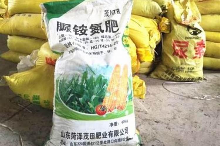 尿素和氮肥有什么区别