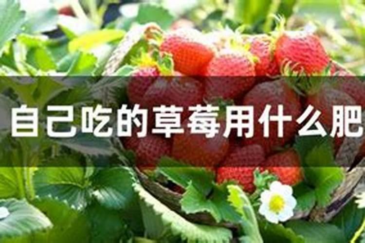 尿素可以和复合肥一起冲施吗