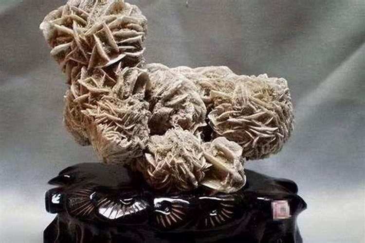沙漠玫瑰的种植方法和注意事项有什么