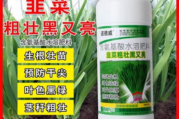 二刀韭菜喷什么叶面肥