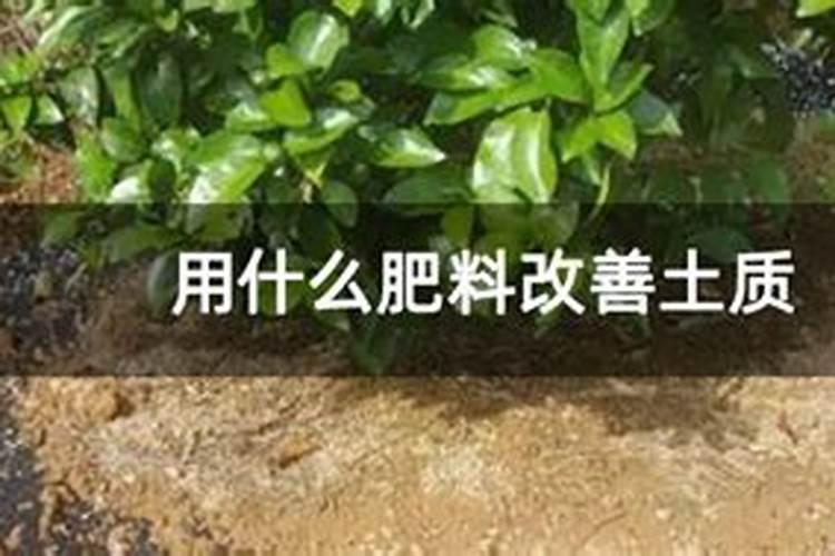 可乐掺和小苏打能带来哪些奇妙的使用效果？