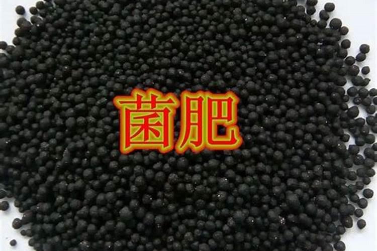 海藻肥与生物菌肥哪个好
