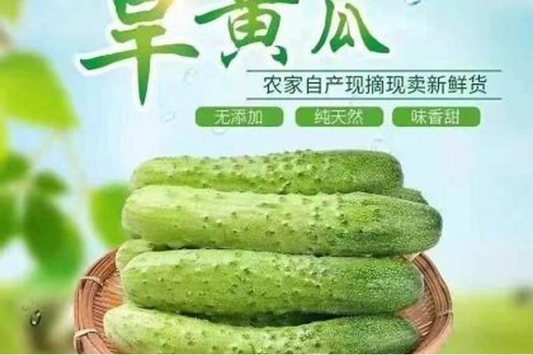 从银川市西北农资城到贺兰同力驾校总校怎么坐车
