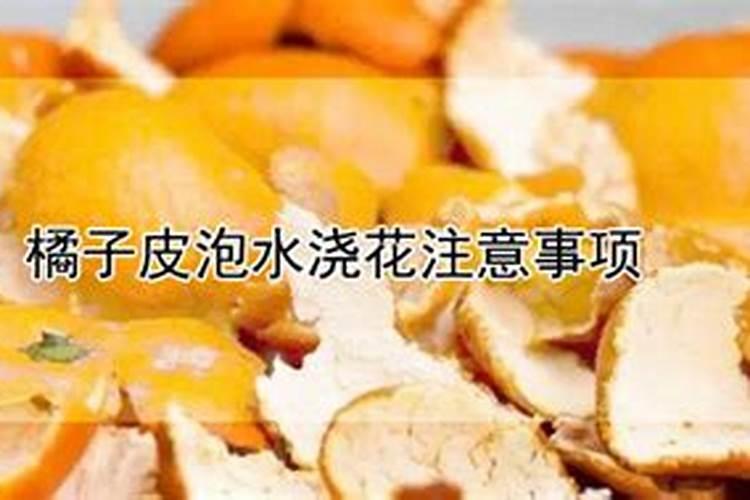 橘子皮泡了一年可以浇花吗