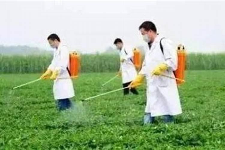 葡萄膨大剂里能加杀菌剂吗？