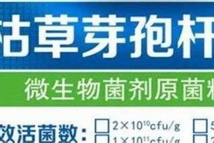 小麦膨大剂是什么药