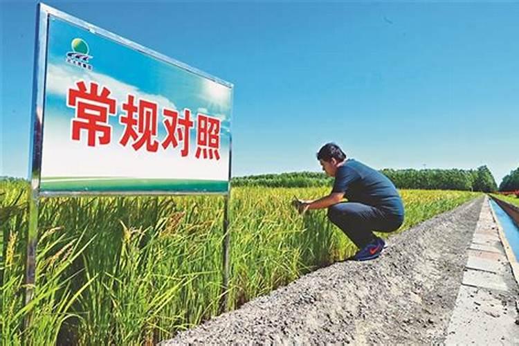 怎样才能使地上不长草？