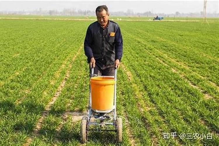 水溶肥可以当底肥用吗