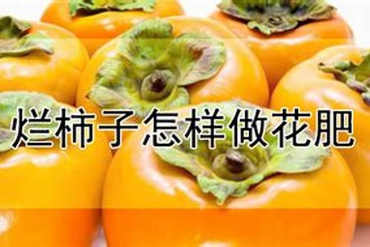 烂的水果能做肥料吗？