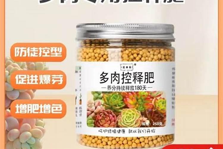 颗粒控释肥适合多肉吗？