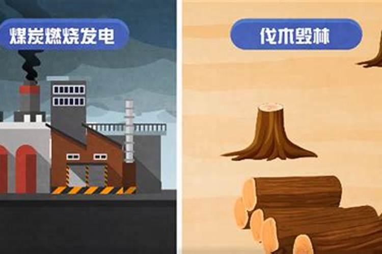 氮肥对植物的作用有哪些？教你自制氮肥的制作方法