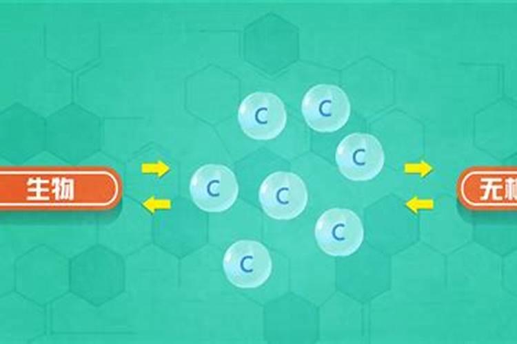 有关碳源和氮源的问题
