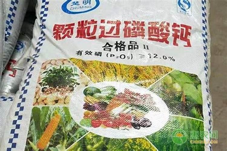 桑树用什么肥料好