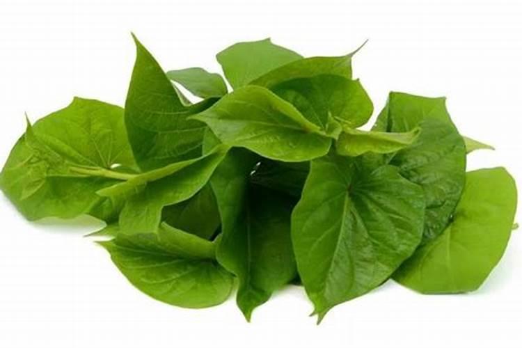 红薯用什么肥料高产 红薯想高产用什么肥料