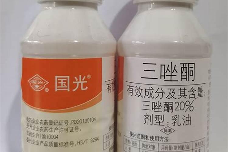 秋豆角黄叶、早衰严重怎么办？应该如何避免这种情况的发生？