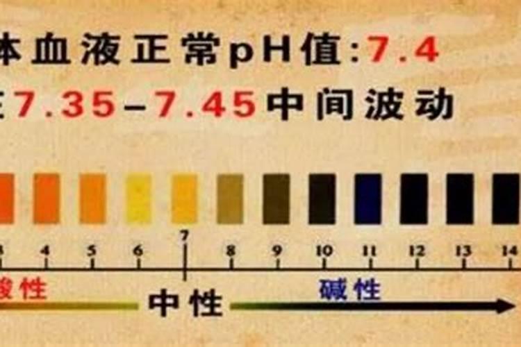 谁知道酵素是什么？