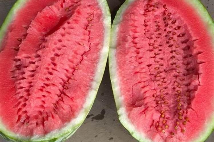 米兰施什么肥最好