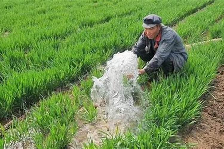 宝宝食欲不振是缺锌导致的吗？怎样补锌比较好？
