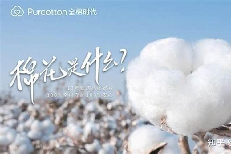 棉花怎么使用叶面肥 棉花施肥方法介绍