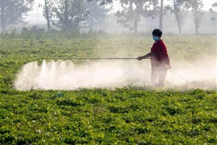 大豆打完除草剂多久可以打叶面肥水？