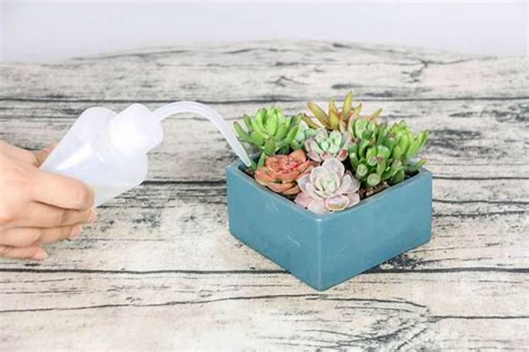 一首英文歌 是一个黑人女歌手和一个白人RAP歌手合作的 MV里表达的好像...