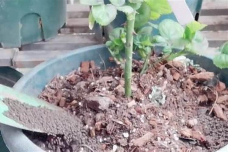 复合肥料成分检测第三方机构 化肥检验报告