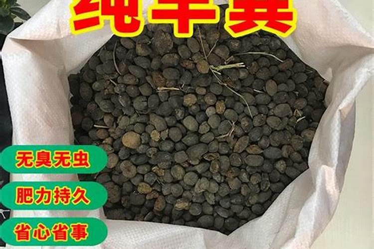 花盆换土放什么肥