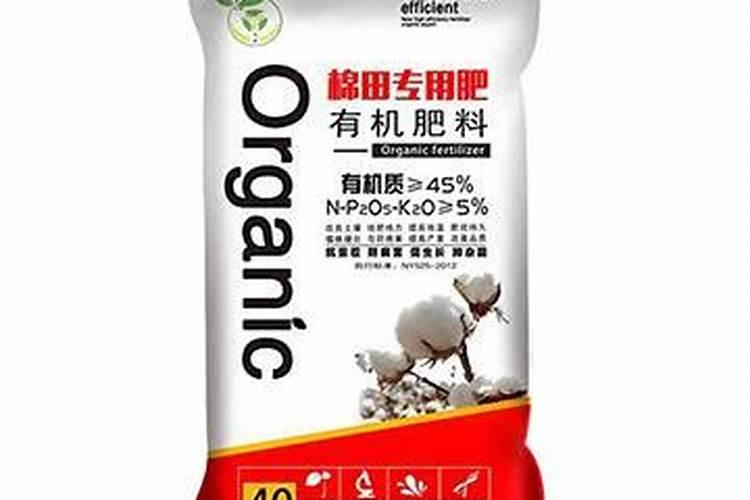 玛格丽特叶子发蔫原因及补救方法