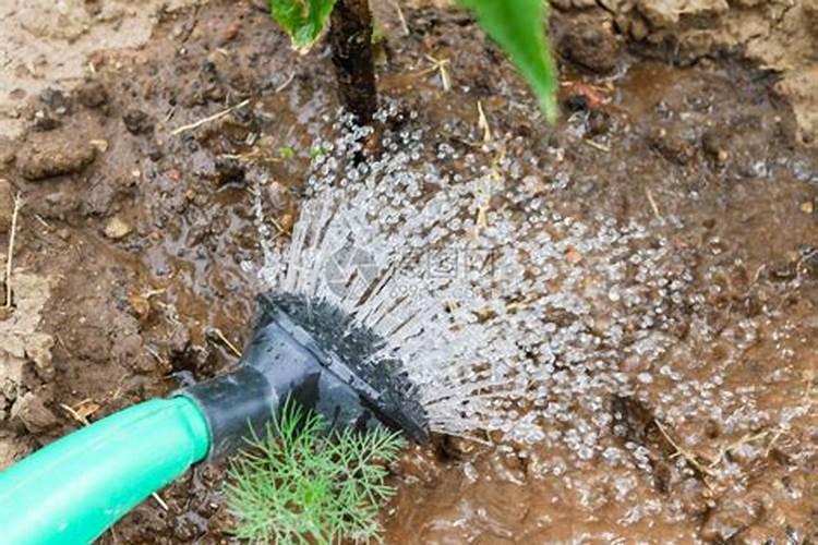 深圳硅胶制品哪家厂做的质量比较好的？