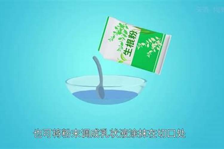 什么药可以养花不死  哪些药可以用来养花
