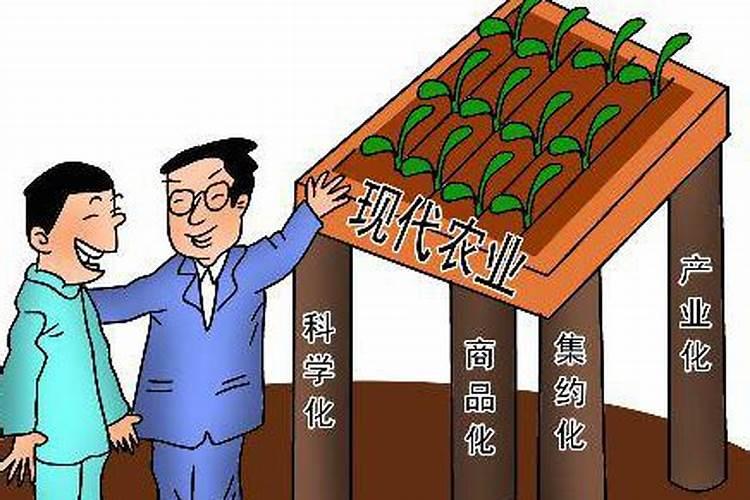 玉米氮磷钾复合肥过量施肥可以吗
