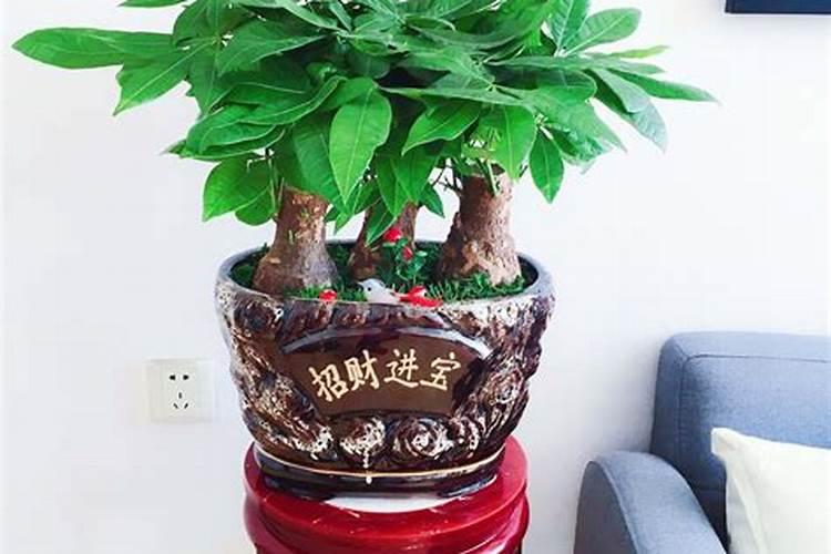 哪种咀嚼成人钙片好？