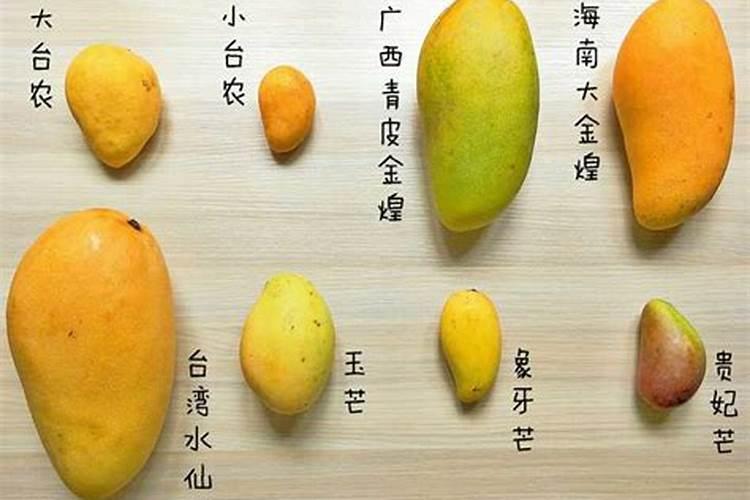 矿源黄腐酸钾什么时候用效果好？芒果使用黑金晶促产增收怎么用百度知 ...