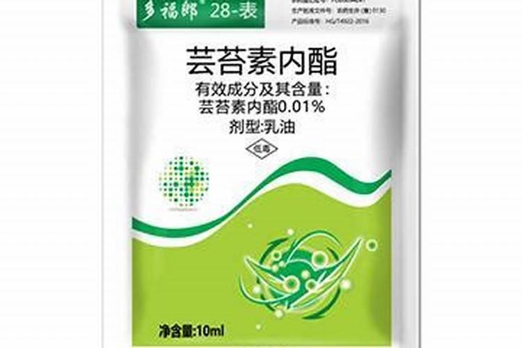 我自己开了一家干洗店,做不下去了怎么办